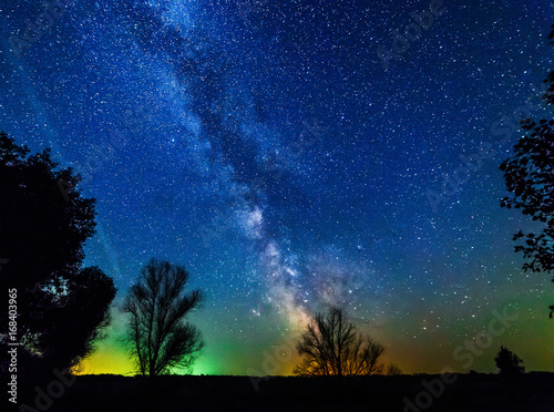 Milky way and stars above the trees.