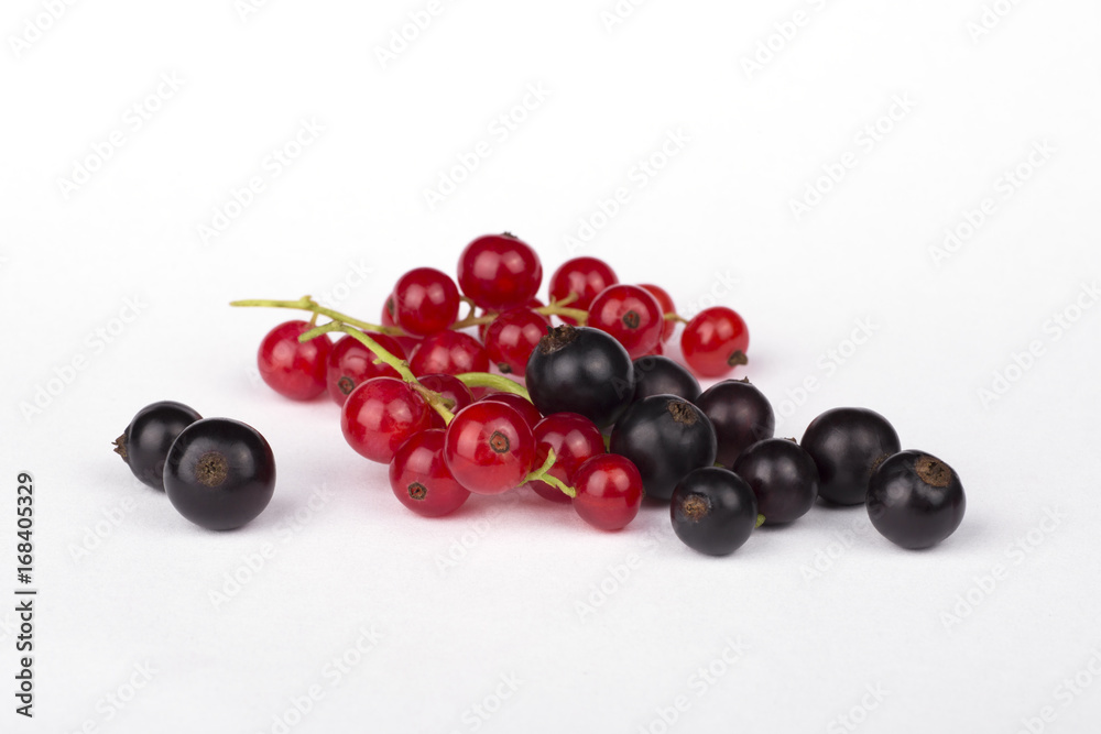 Black and red currants on a white background Black and red currants on a white background