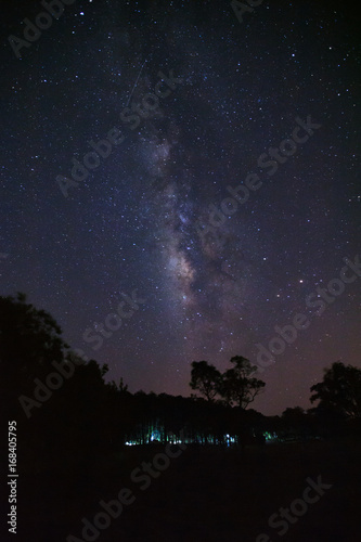 milky way galaxy and silhouette of tree with cloud at Phu Hin Rong Kla National Park,Phitsanulok Thailand