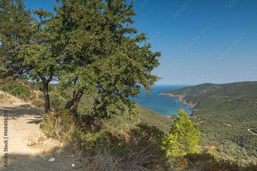 Panoramic view of Mamba Beach Ampelos at Sithonia peninsula, Chalkidiki, Central Macedonia, Greece