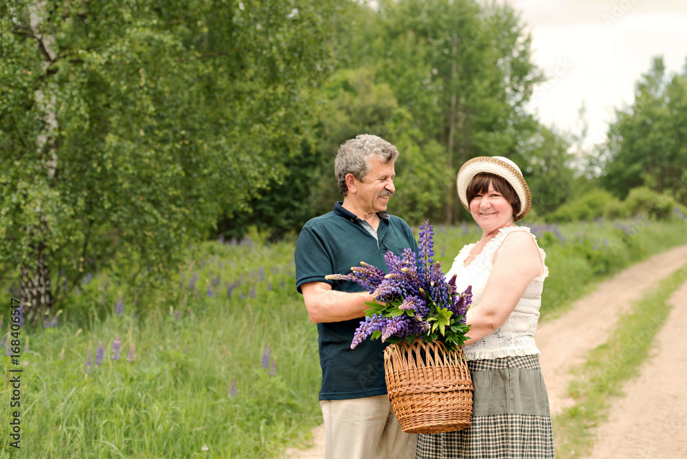 An elderly couple walks through the forest park and a man gives a woman a woven basket with a bouquet of flowers of purple lupines