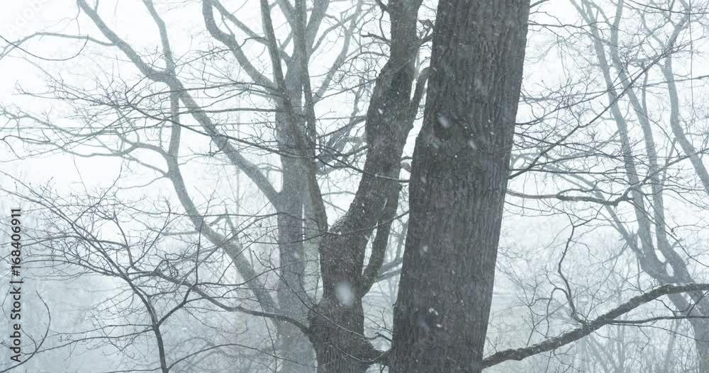 slow motion handheld shot of snow falling in small town shot from window slow motion handheld shot of snow falling in small town shot from window