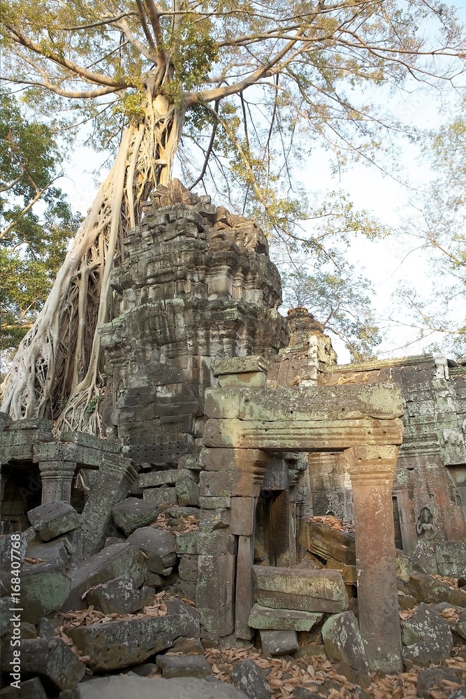 Ta Prohm temple