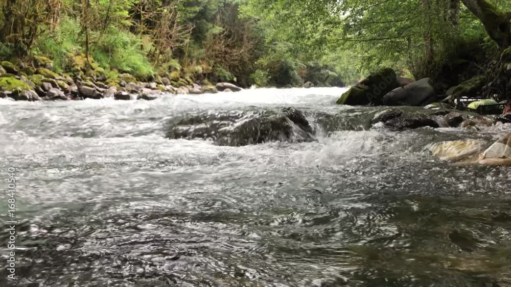 4K fast flowing river (firtina deresi ) forest and mountain, from rize turkey 4K fast flowing river (firtina deresi ) forest and mountain, from rize turkey