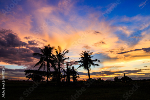 colorful dramatic sky with cloud at sunset. © freedom_naruk