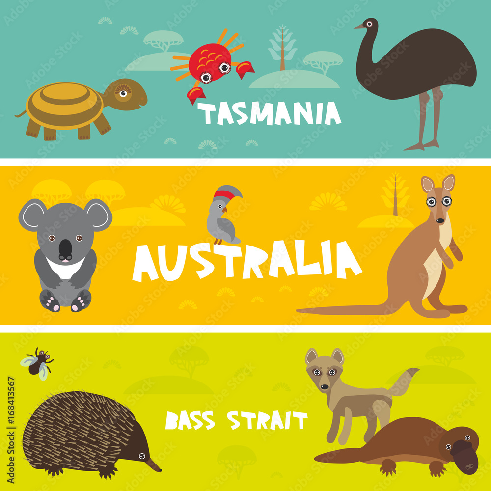 Cute animals set, Echidna koala Platypus ostrich Emu Cockatoo parrot ...