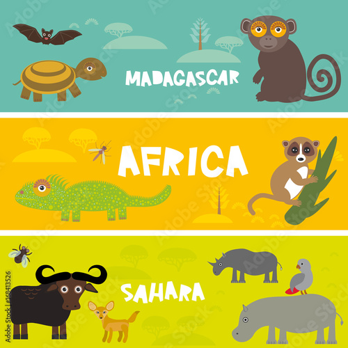 Cute animals set Turtle bat monkey lemur bull hippo parrot tsetse fly camel Chameleon Fennec fox, kids background African animals, Africa, Madagascar, Sahara Desert bright colorful banner. Vector