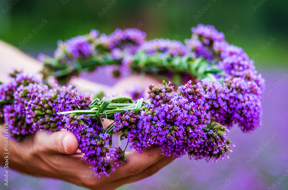 purple flower wreath on hands purple flower wreath on hands