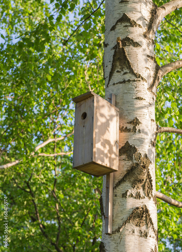 Sweet Home. A closeup view of a birdhouse on a birch tree in summertime.