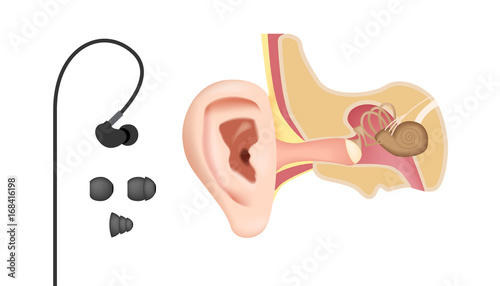 earphone set and ear anatomy vector