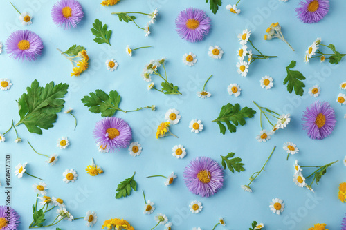 Scattered field flowers on color background