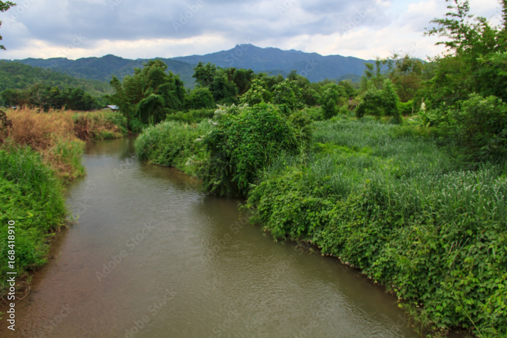 canal canal