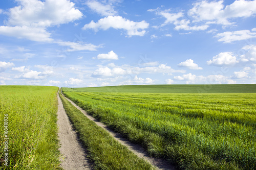 Dirt road, field, meadow and clouds in the sky