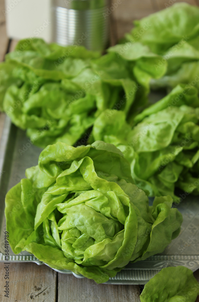 Fresh green lettuce salad. Selective focus. Fresh green lettuce salad. Selective focus.