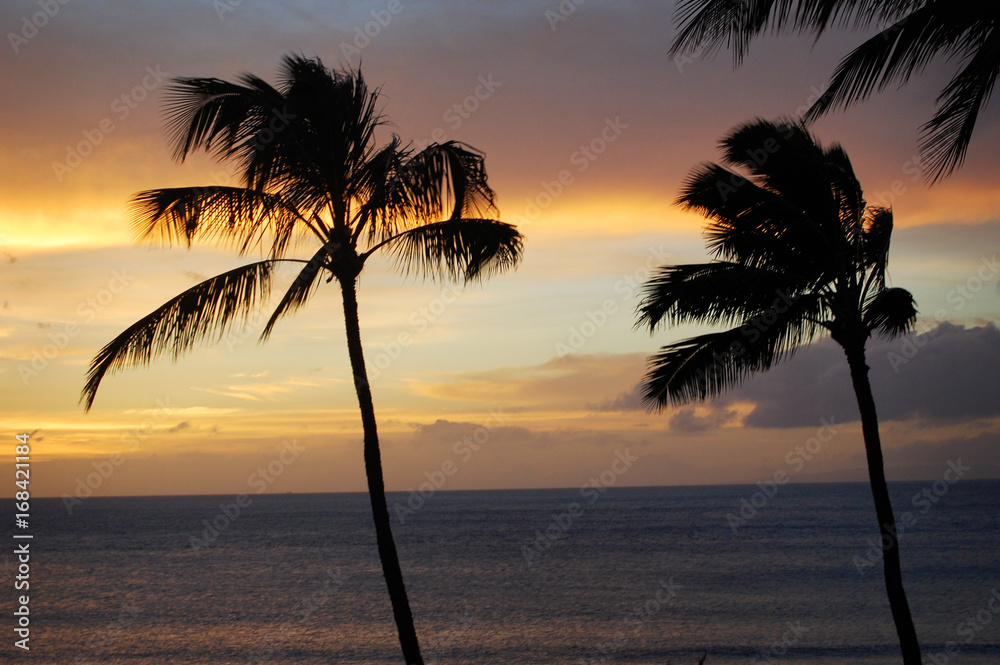   Swaying palm trees with a gorgeous orange sunset and the ocean behind it in Maui, Hawaii.
