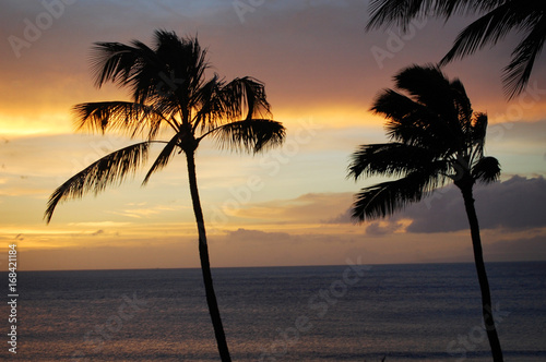  Swaying palm trees with a gorgeous orange sunset and the ocean behind it in Maui, Hawaii.