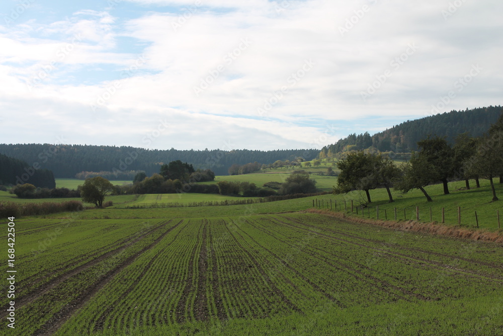 Beautiful unique landscape of Schwarzwald Black Forest in Germany