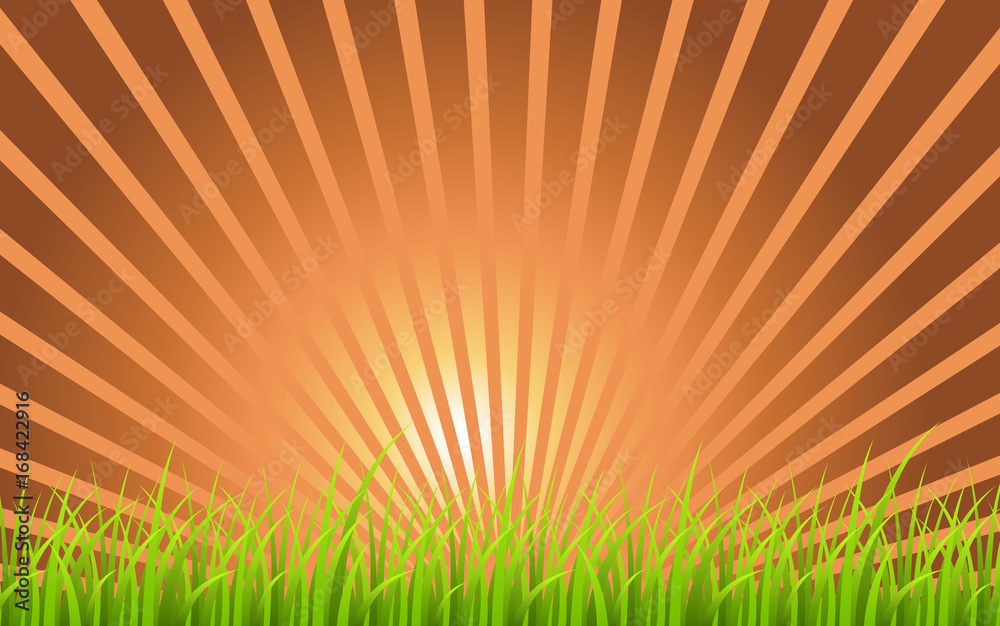 Grassline Sunburst Background