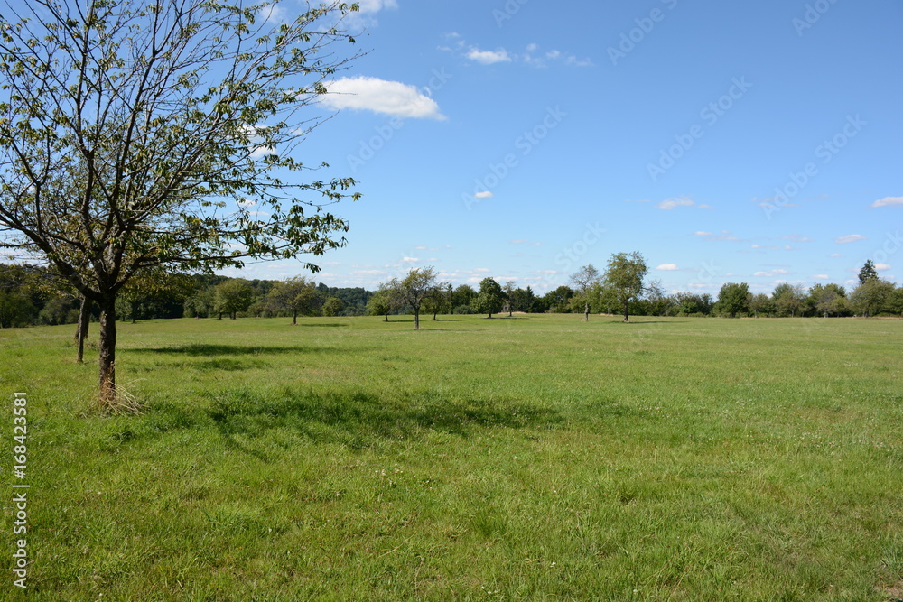 Prairie ensoleillée 