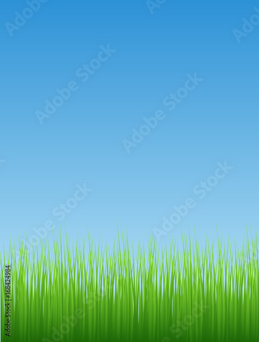 Grassline Background