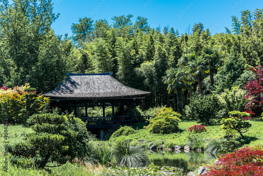 Jardin Japonais.