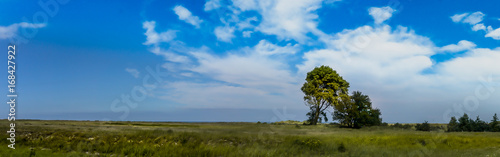 Panorama Baum mit Wiese, Wolken, Himmel und Meer