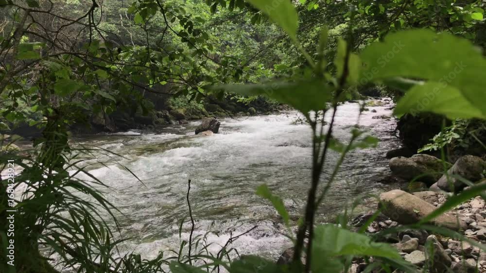 fast flowing river (firtina deresi ) forest and mountain, from rize turkey fast flowing river (firtina deresi ) forest and mountain, from rize turkey