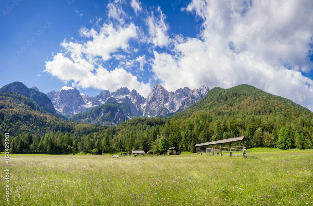 Meadow in the julian Alps in Slovenia