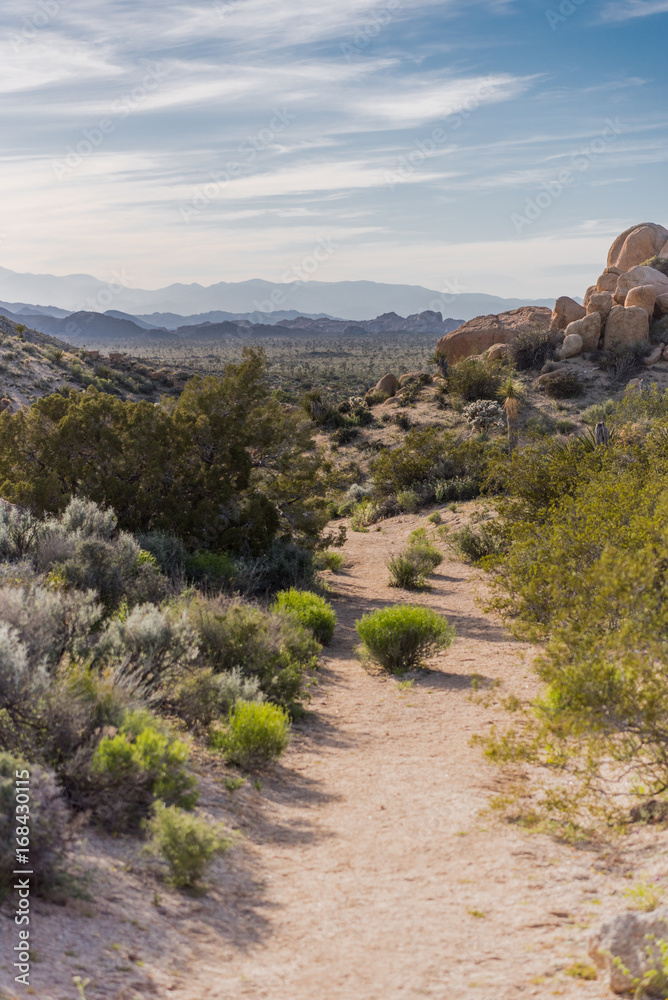 Obraz premium Dirt Trail Winds Through Desert Landscape