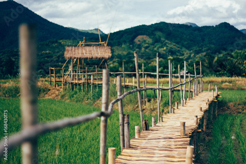 Bamboo bridge