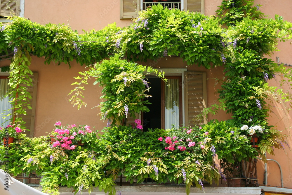 Bardolino Bardolino