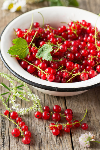Red currant in bowl
