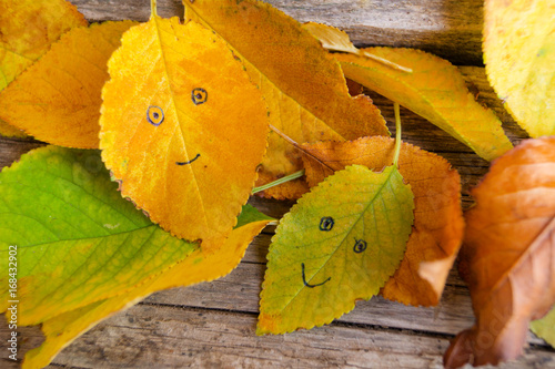 Two sad and glad autumn leavws on the pile of fallen colorful leaves on the wooden table