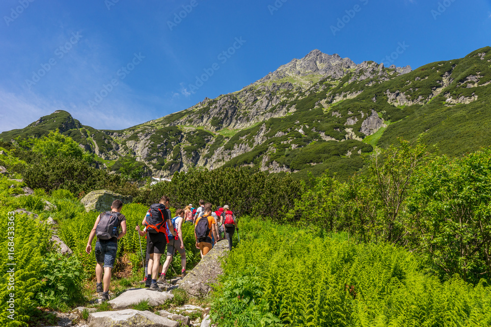 Mountain trail, active rest, Mountains landscape