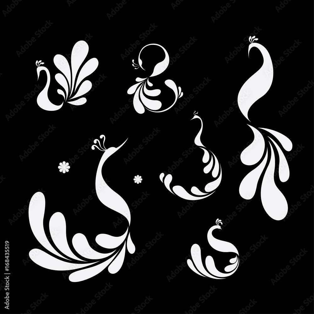 Fototapeta premium Peacock logo