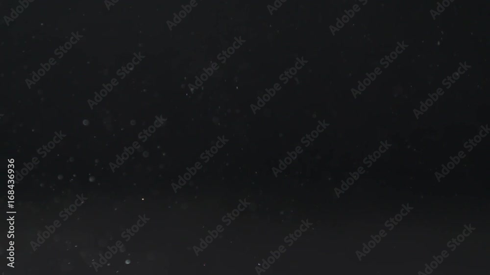 Slow motion macro shot of particles float Slow motion macro shot of particles float