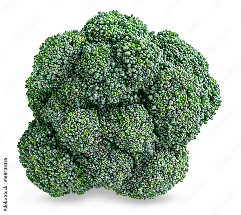 Frash broccoli isolated on white background Frash broccoli isolated on white background