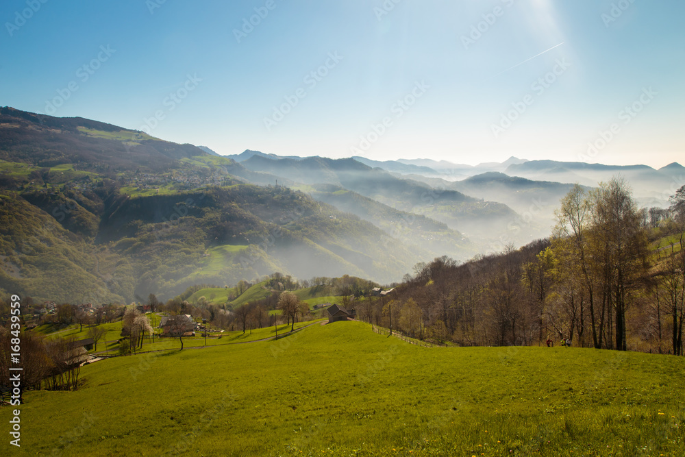 Obraz premium Spring is coming in the valley