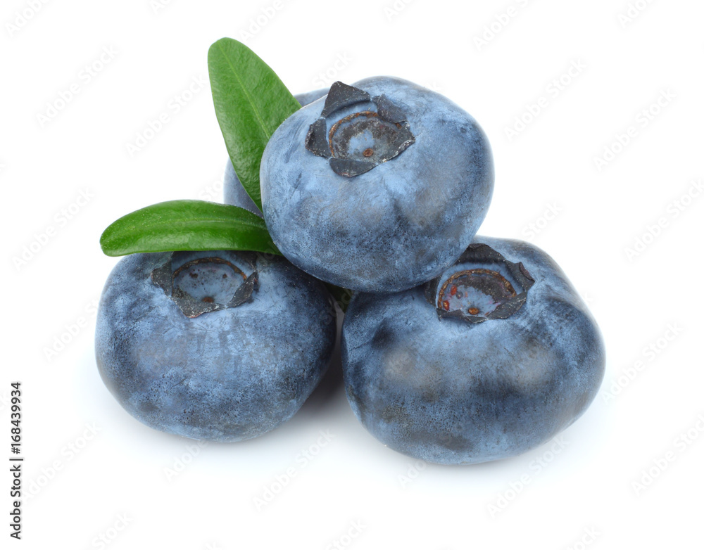 blueberries with green leaf isolated on white background blueberries with green leaf isolated on white background
