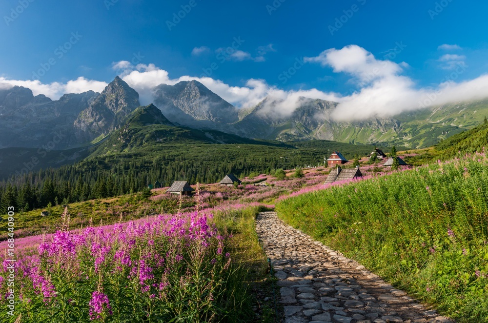 Fototapeta premium Tatry, krajobraz Polski, kolorowe kwiaty i domki w Dolinie Gąsienicowej (Hala Gąsienicowa), letni szlak turystyczny
