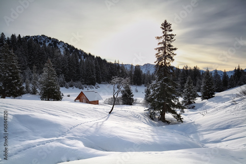 wooden cabin in snowy Alps © Olha Rohulya