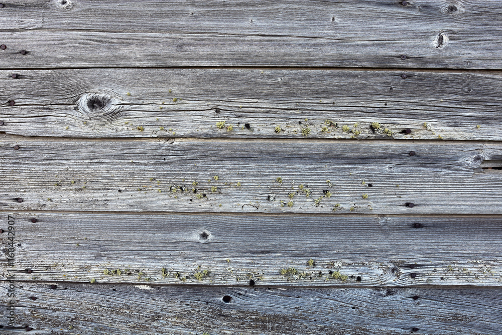 Old Wood Texture