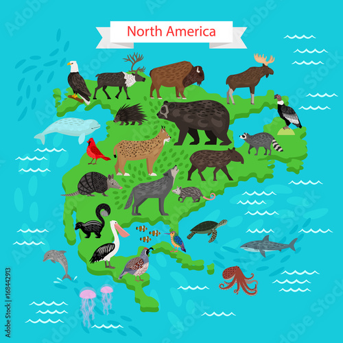 Animals and Birds on North America Map Stock Vector | Adobe Stock Animals and Birds on North America Map Stock Vector | Adobe Stock