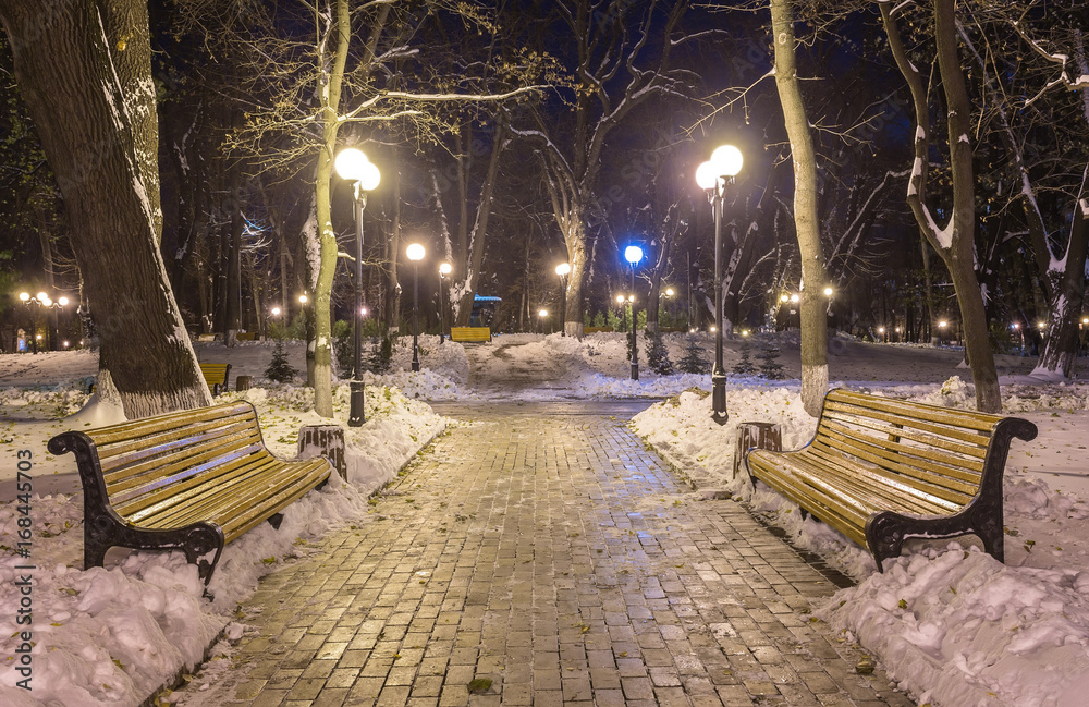 Winter night landscape- bench under trees and shining street lights falling snowflakes.