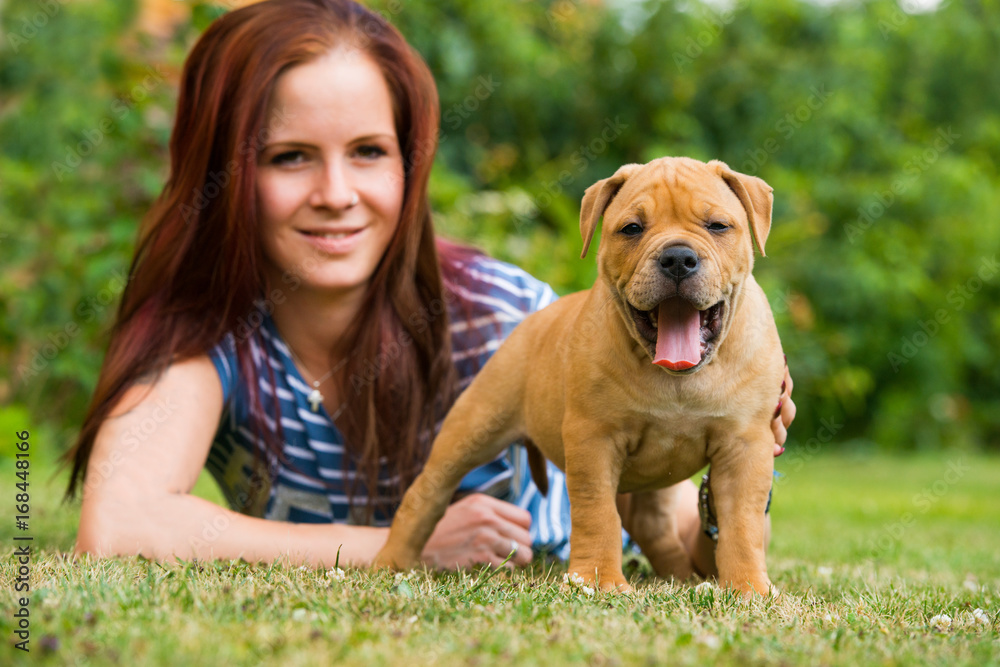 Junge Frau mit Hund Junge Frau mit Hund