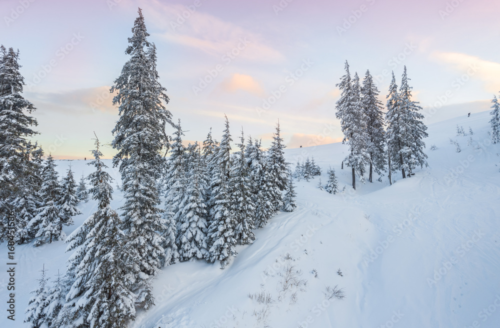 Obraz premium Fantastic evening winter landscape