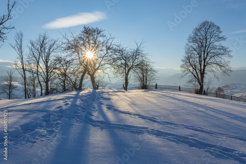 Winter landscape with lots of snow and trees © Ryzhkov Oleksandr