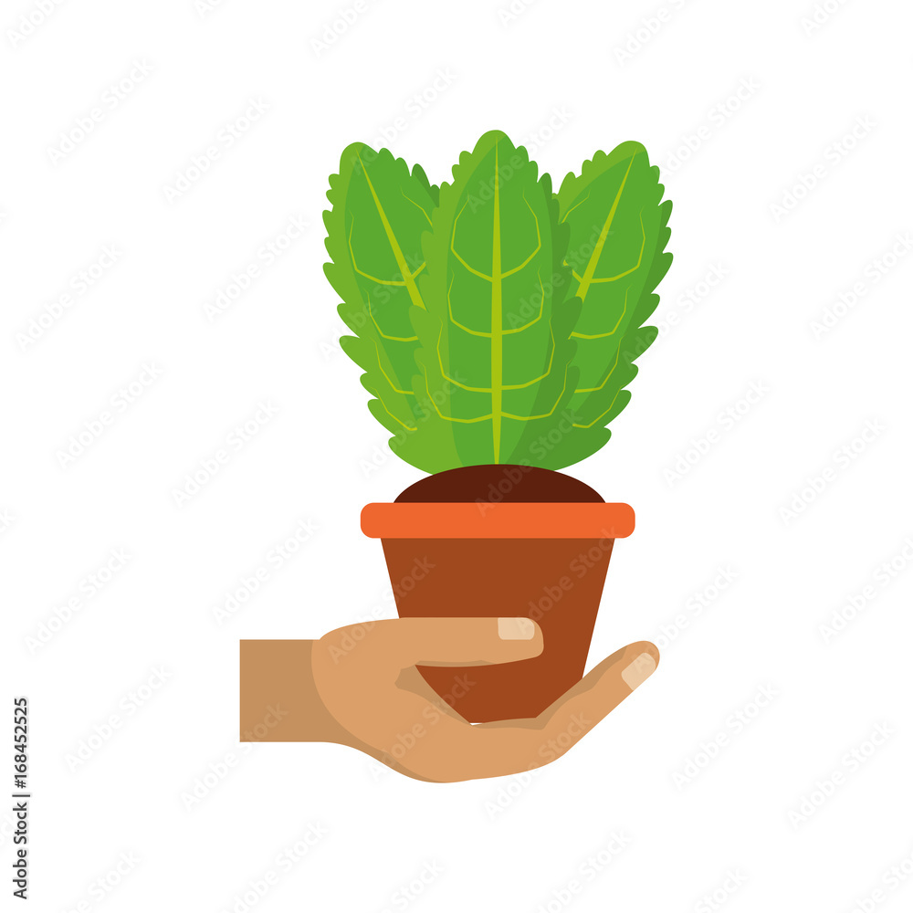 Obraz premium Plant in pot vector illustration