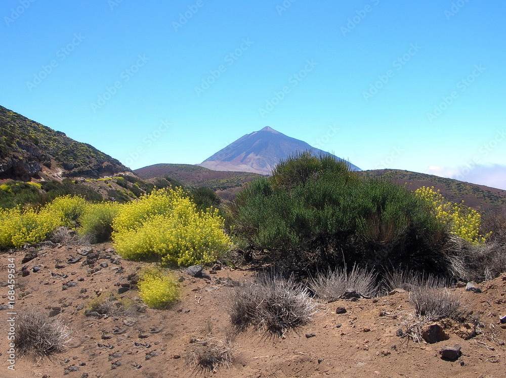 Fototapeta premium Vulkan