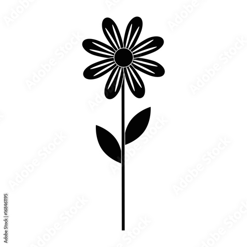 beautiful flower icon over white background vector illustration